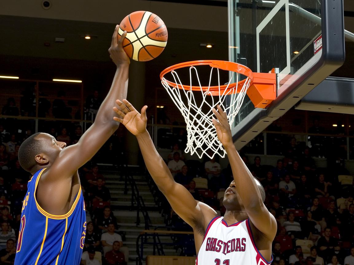 米兰体育官网首页-外线防守能力最强的小前锋排名，外线防守能力最强的小前锋排名榜  第2张